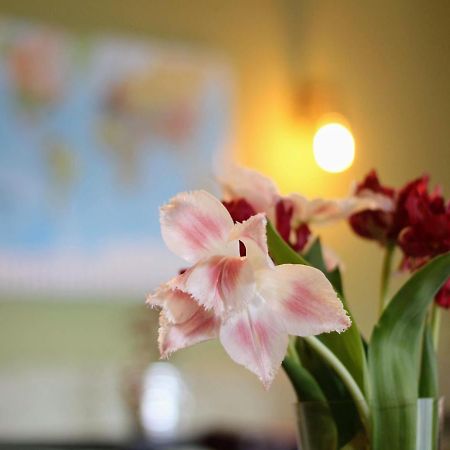 Bed And Breakfast De Grote Byvanck Westervoort Екстер'єр фото