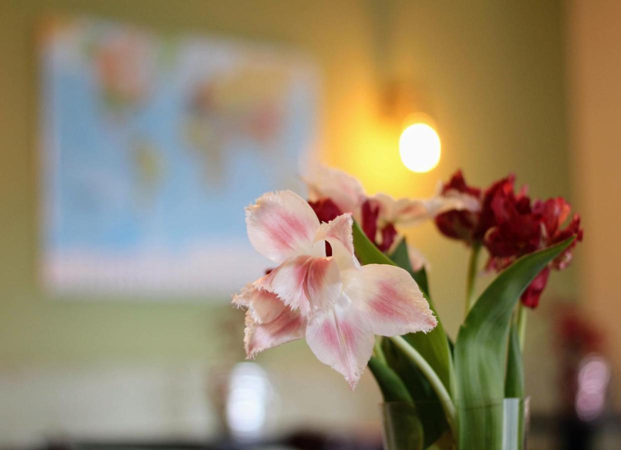 Bed And Breakfast De Grote Byvanck Westervoort Екстер'єр фото